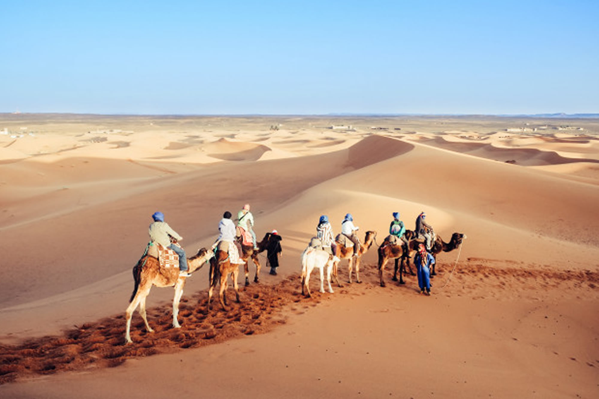camel Merzouga marrakech tours day desert