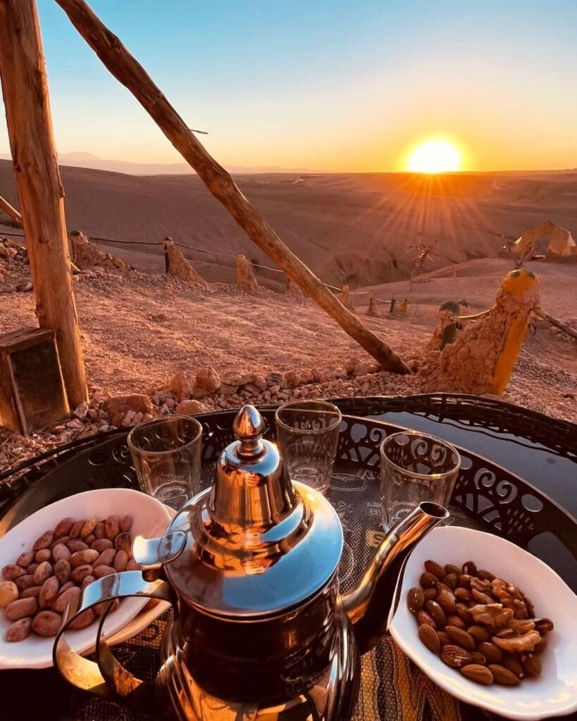 the tree of ouarzazat ait ben haddou camel