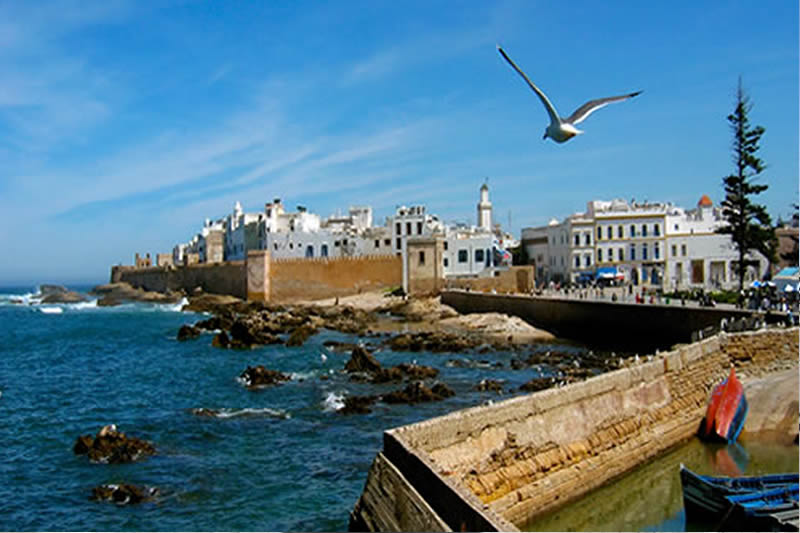 marrakech-transportation-services-morocco-new-cars