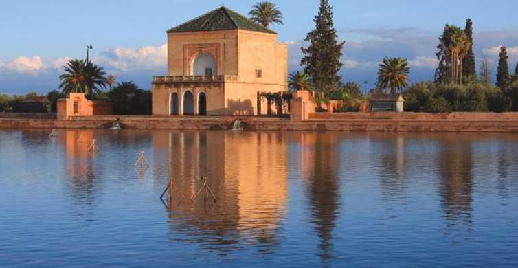 the tree of ouarzazat ait ben haddou camel