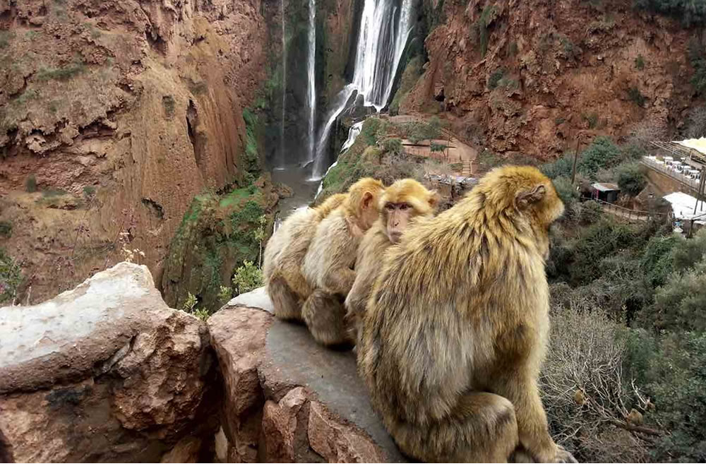 trips in mountains morocco