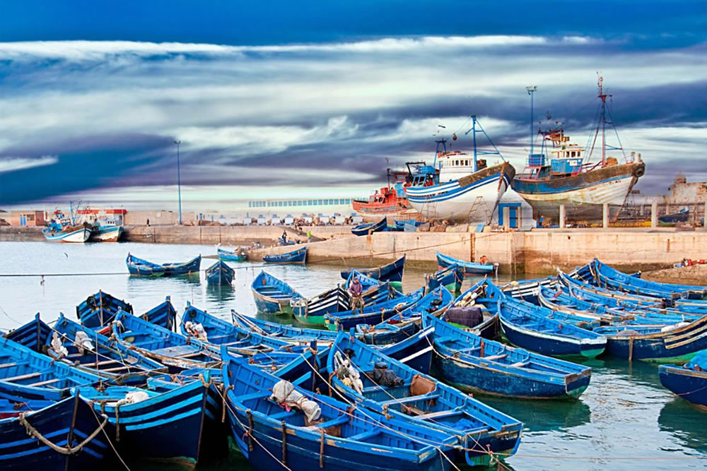 The Sea Fishing essaouira Harbor