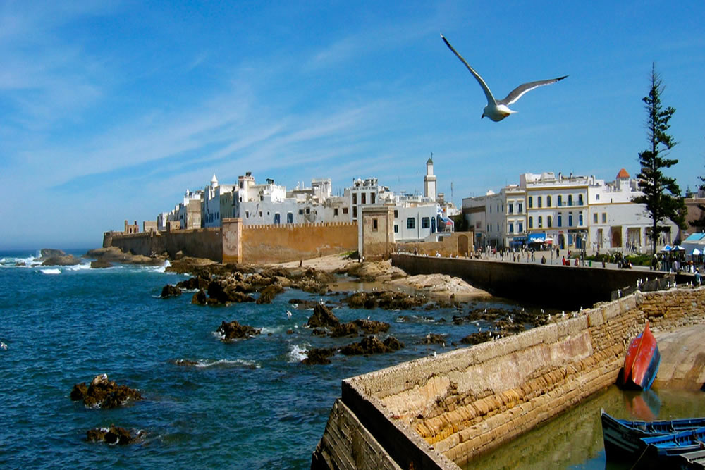 the beach of essaouira trips day