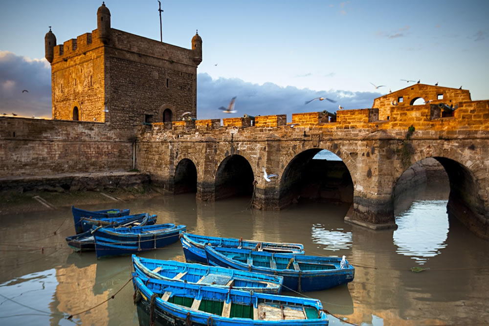 Harbor essaouira trips day