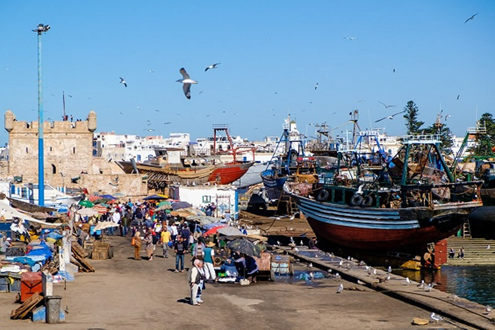 tours to Harbor essaouira 